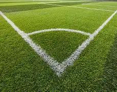 罗尤文战马,竞脚踝受伤,角旗杆恶意,星际娱乐官网,星际娱乐官网在线娱乐平台